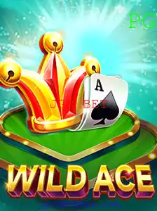 Explorando o Fascinante Mundo de WildAce com JGR BET
